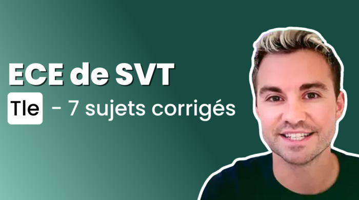 ECE SVT Terminale