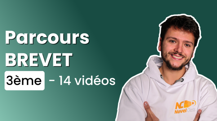 brevet 2022 préparation en vidéos sujet corrigé